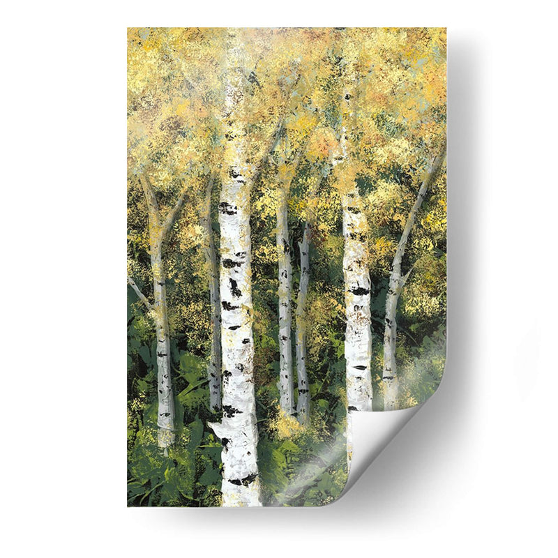 Birch Treeline Ii - Jade Reynolds | Cuadro decorativo de Canvas Lab