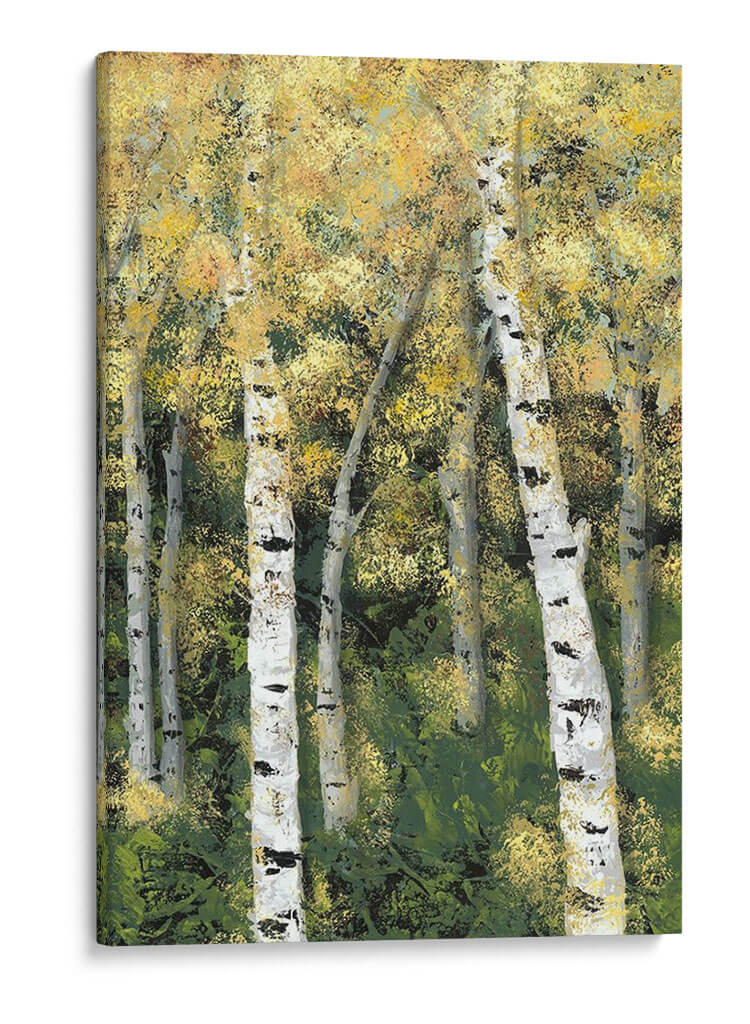 Birch Treeline Iii - Jade Reynolds | Cuadro decorativo de Canvas Lab