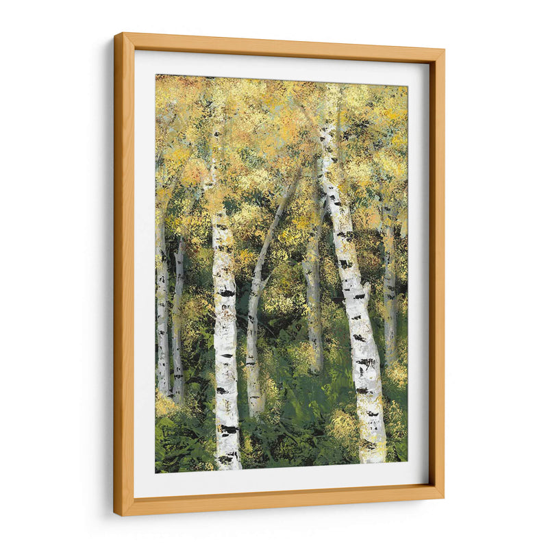 Birch Treeline Iii - Jade Reynolds | Cuadro decorativo de Canvas Lab