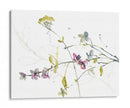 Ramas Y Flores Ii - Jennifer Goldberger | Cuadro decorativo de Canvas Lab
