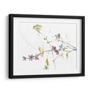 Ramas Y Flores Ii - Jennifer Goldberger | Cuadro decorativo de Canvas Lab