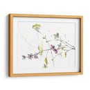 Ramas Y Flores Ii - Jennifer Goldberger | Cuadro decorativo de Canvas Lab