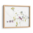 Ramas Y Flores Ii - Jennifer Goldberger | Cuadro decorativo de Canvas Lab