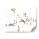 Ramas Y Flores Ii - Jennifer Goldberger | Cuadro decorativo de Canvas Lab