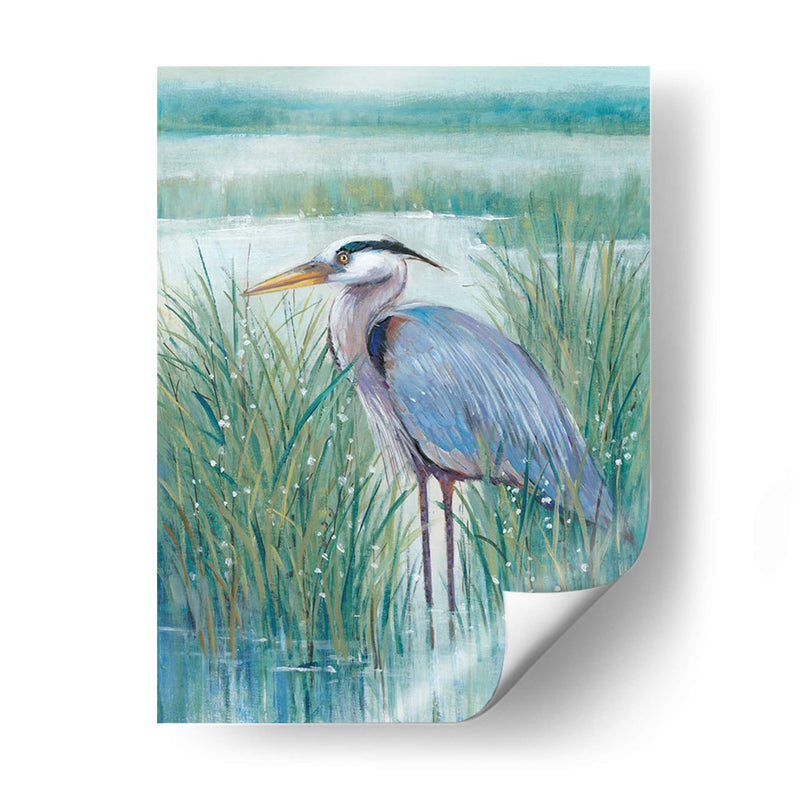 Hermano Heron Ii - Tim OToole | Cuadro decorativo de Canvas Lab