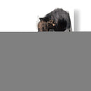 Ebony Step I - Jennifer Goldberger | Cuadro decorativo de Canvas Lab