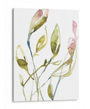 Tallos Florecientes I - Jennifer Goldberger | Cuadro decorativo de Canvas Lab