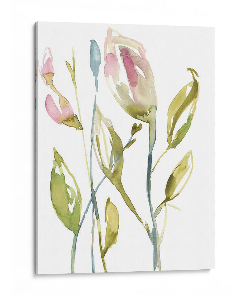 Tallos Florecientes Ii - Jennifer Goldberger | Cuadro decorativo de Canvas Lab