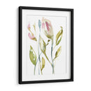 Tallos Florecientes Ii - Jennifer Goldberger | Cuadro decorativo de Canvas Lab