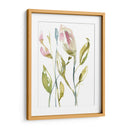 Tallos Florecientes Ii - Jennifer Goldberger | Cuadro decorativo de Canvas Lab