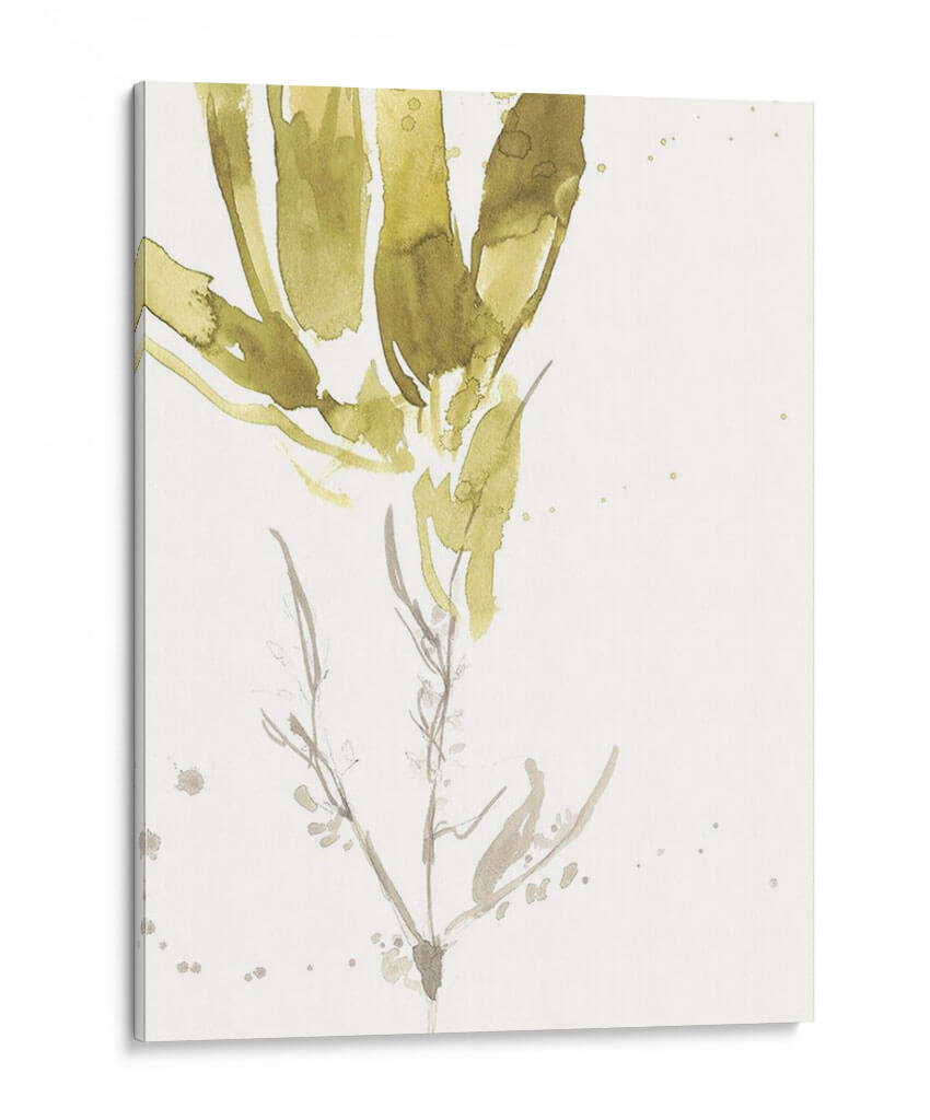 Bajo El Bosque Mar Vi - Jennifer Goldberger | Cuadro decorativo de Canvas Lab