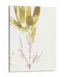 Bajo El Bosque Mar Vi - Jennifer Goldberger | Cuadro decorativo de Canvas Lab