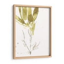 Bajo El Bosque Mar Vi - Jennifer Goldberger | Cuadro decorativo de Canvas Lab