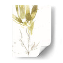 Bajo El Bosque Mar Vi - Jennifer Goldberger | Cuadro decorativo de Canvas Lab