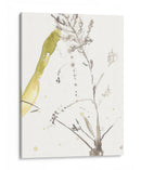 Bajo El Bosque Mar Viii - Jennifer Goldberger | Cuadro decorativo de Canvas Lab