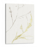 Bajo El Bosque De Mar Ix - Jennifer Goldberger | Cuadro decorativo de Canvas Lab