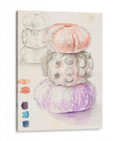 Bocetos De Erizo De Mar I - Jennifer Paxton Parker | Cuadro decorativo de Canvas Lab