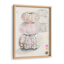 Bocetos De Erizo De Mar Ii - Jennifer Paxton Parker | Cuadro decorativo de Canvas Lab