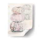 Bocetos De Erizo De Mar Ii - Jennifer Paxton Parker | Cuadro decorativo de Canvas Lab