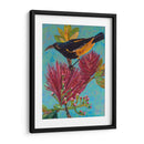 Ave Hawaiana Iii - Elizabeth St. Hilaire | Cuadro decorativo de Canvas Lab