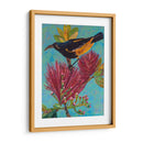 Ave Hawaiana Iii - Elizabeth St. Hilaire | Cuadro decorativo de Canvas Lab