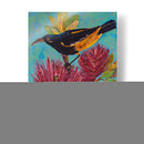 Ave Hawaiana Iii - Elizabeth St. Hilaire | Cuadro decorativo de Canvas Lab