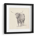 Longhorn Steer Sketch I - Ethan Harper | Cuadro decorativo de Canvas Lab