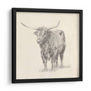 Longhorn Steer Sketch I - Ethan Harper | Cuadro decorativo de Canvas Lab