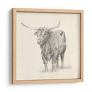 Longhorn Steer Sketch I - Ethan Harper | Cuadro decorativo de Canvas Lab