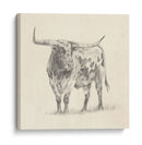 Longhorn Steer Sketch Ii - Ethan Harper | Cuadro decorativo de Canvas Lab
