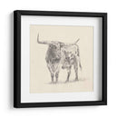 Longhorn Steer Sketch Ii - Ethan Harper | Cuadro decorativo de Canvas Lab