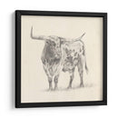 Longhorn Steer Sketch Ii - Ethan Harper | Cuadro decorativo de Canvas Lab