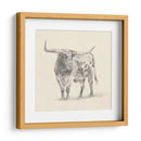 Longhorn Steer Sketch Ii - Ethan Harper | Cuadro decorativo de Canvas Lab