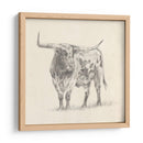 Longhorn Steer Sketch Ii - Ethan Harper | Cuadro decorativo de Canvas Lab