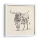 Longhorn Steer Sketch Ii - Ethan Harper | Cuadro decorativo de Canvas Lab