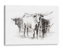 Ganado Contemporáneo Ii - Ethan Harper | Cuadro decorativo de Canvas Lab