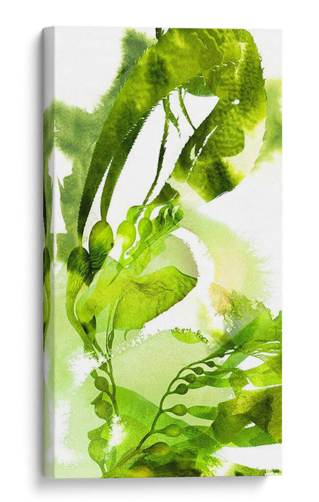 Botanicales De Acuarela 1 - THE Studio | Cuadro decorativo de Canvas Lab