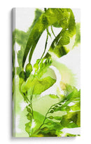 Botanicales De Acuarela 1 - THE Studio | Cuadro decorativo de Canvas Lab