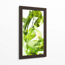 Botanicales De Acuarela 1 - THE Studio | Cuadro decorativo de Canvas Lab
