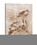 Inversiones De Flores Sepia 3 - THE Studio | Cuadro decorativo de Canvas Lab