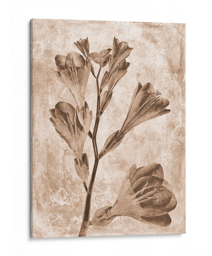 Inversiones De Flores Sepia 5 - THE Studio | Cuadro decorativo de Canvas Lab