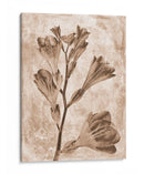 Inversiones De Flores Sepia 5 - THE Studio | Cuadro decorativo de Canvas Lab