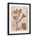 Inversiones De Flores Sepia 5 - THE Studio | Cuadro decorativo de Canvas Lab