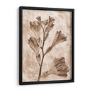 Inversiones De Flores Sepia 5 - THE Studio | Cuadro decorativo de Canvas Lab