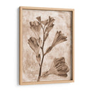 Inversiones De Flores Sepia 5 - THE Studio | Cuadro decorativo de Canvas Lab
