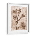 Inversiones De Flores Sepia 5 - THE Studio | Cuadro decorativo de Canvas Lab