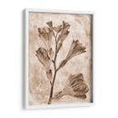 Inversiones De Flores Sepia 5 - THE Studio | Cuadro decorativo de Canvas Lab