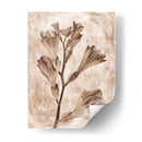 Inversiones De Flores Sepia 5 - THE Studio | Cuadro decorativo de Canvas Lab