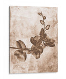Inversiones De Flores Sepia 7 - THE Studio | Cuadro decorativo de Canvas Lab