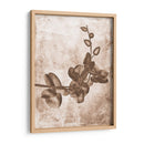 Inversiones De Flores Sepia 7 - THE Studio | Cuadro decorativo de Canvas Lab